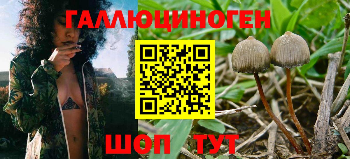 Гашиш  Альфа ПВП СК кристаллы  Каннабис  МЕФ кристаллы  МЕТ  Менделеевск  Вход с VPN 